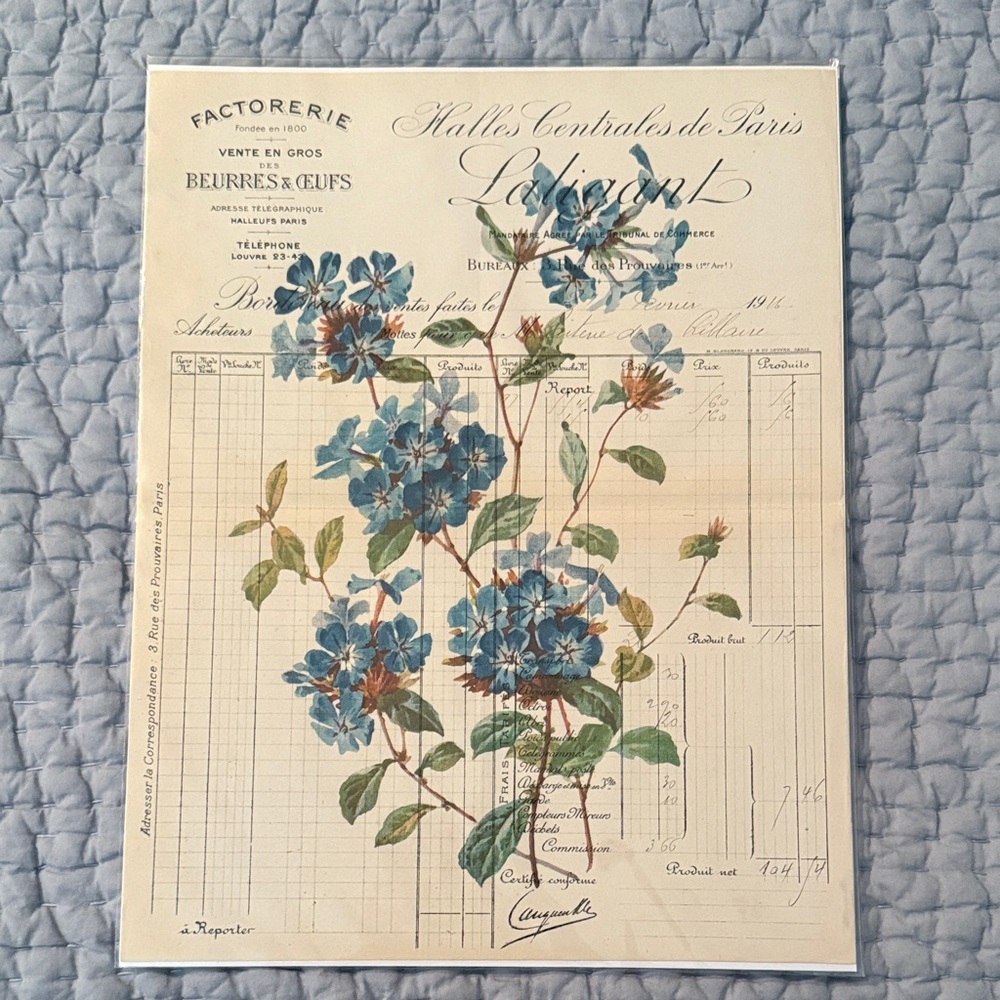 Unique Art- floral print in French background, 8.5” X 11”, sealed,ready to frame